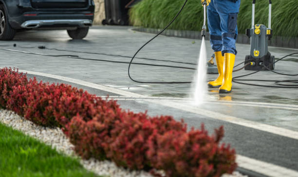 Best Roof Cleaning and Mildew Removal in Escobares, TX